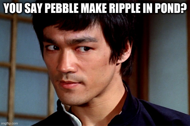 Skeptical Bruce Lee | YOU SAY PEBBLE MAKE RIPPLE IN POND? | image tagged in skeptical bruce lee | made w/ Imgflip meme maker