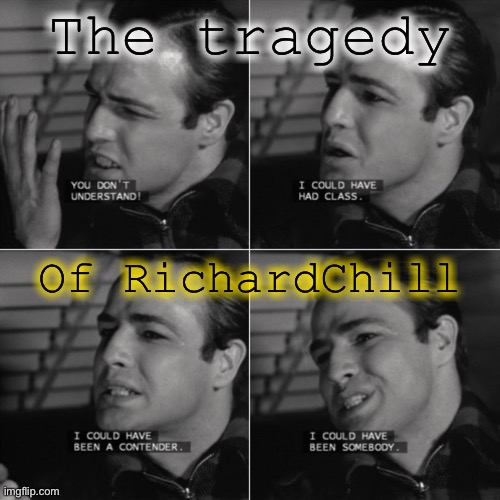 i coulda been a contender 4-panel | The tragedy Of RichardChill | image tagged in i coulda been a contender 4-panel | made w/ Imgflip meme maker