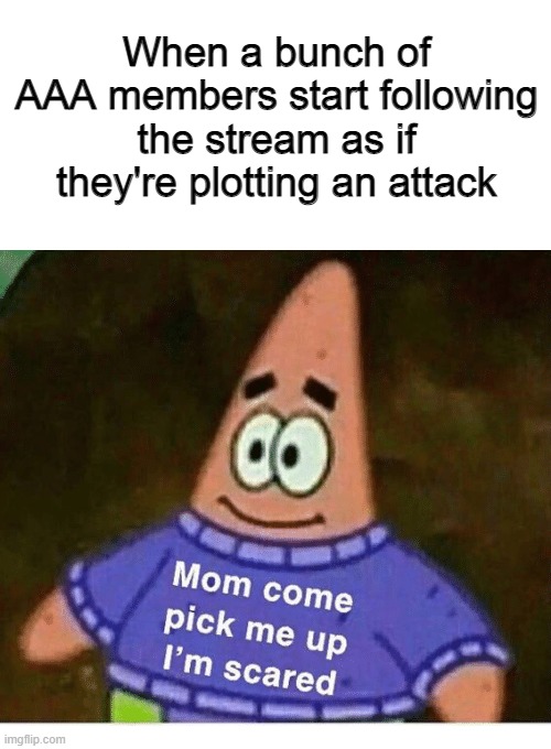 mom pick me up i'm scared | When a bunch of AAA members start following the stream as if they're plotting an attack | image tagged in mom pick me up i'm scared | made w/ Imgflip meme maker