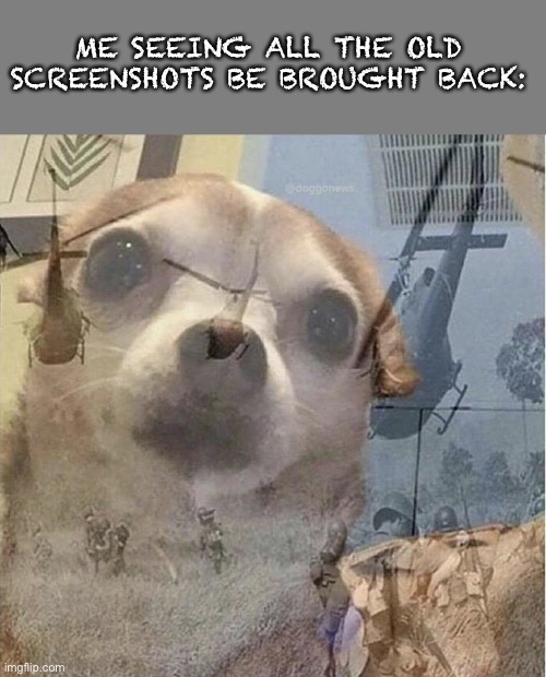 ME SEEING ALL THE OLD SCREENSHOTS BE BROUGHT BACK: | image tagged in ptsd chihuahua | made w/ Imgflip meme maker