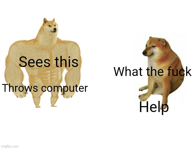Sees this What the fuck Throws computer Help | image tagged in memes,buff doge vs cheems | made w/ Imgflip meme maker