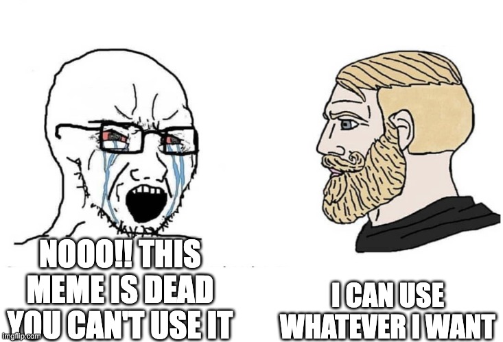 Soyboy Vs Yes Chad | I CAN USE WHATEVER I WANT; NOOO!! THIS MEME IS DEAD YOU CAN'T USE IT | image tagged in soyboy vs yes chad,chad,dead meme | made w/ Imgflip meme maker