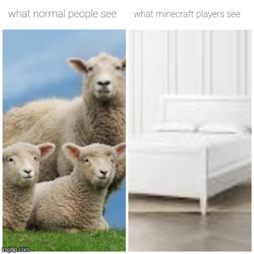 Oh look a bed | image tagged in memes,minecraft,funny memes,funny | made w/ Imgflip meme maker
