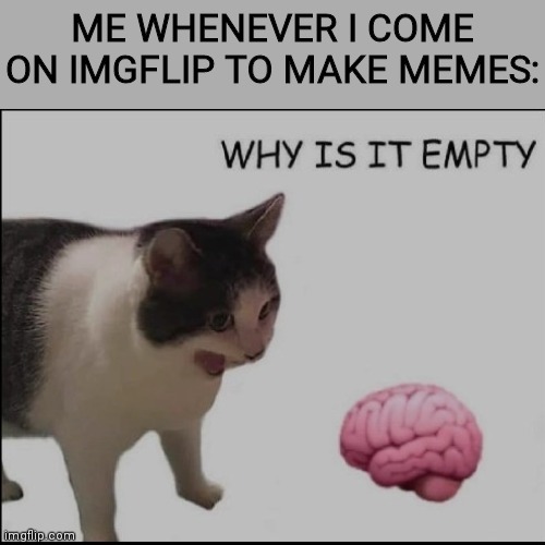 why is it empty? | ME WHENEVER I COME ON IMGFLIP TO MAKE MEMES: | image tagged in why is it empty | made w/ Imgflip meme maker