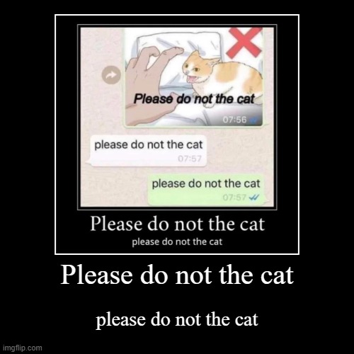 Please do not the cat | Please do not the cat | please do not the cat | image tagged in funny,demotivationals | made w/ Imgflip demotivational maker