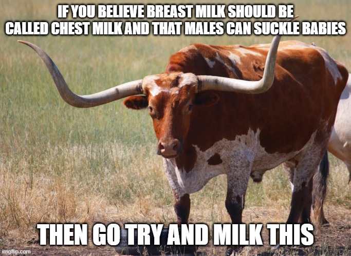 Bull with big horns | IF YOU BELIEVE BREAST MILK SHOULD BE CALLED CHEST MILK AND THAT MALES CAN SUCKLE BABIES; THEN GO TRY AND MILK THIS | image tagged in bull with big horns | made w/ Imgflip meme maker