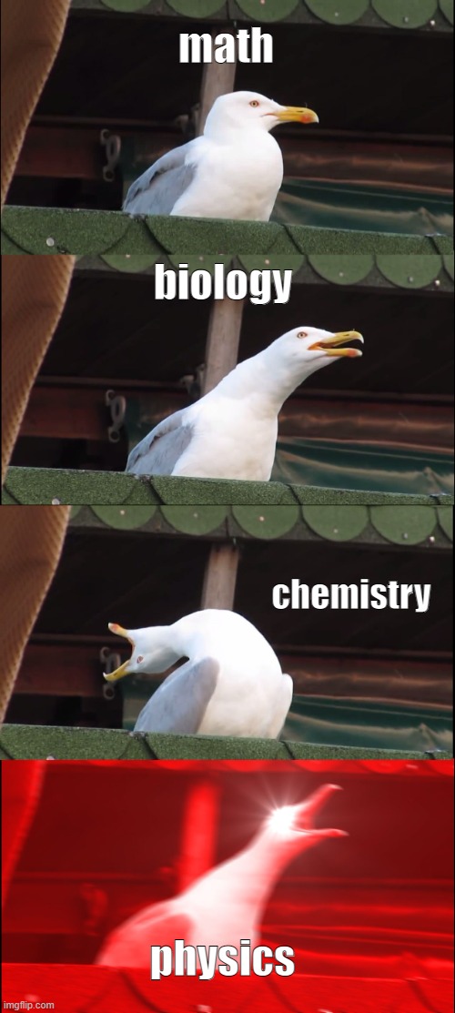 subject understandings | math; biology; chemistry; physics | image tagged in memes,inhaling seagull | made w/ Imgflip meme maker