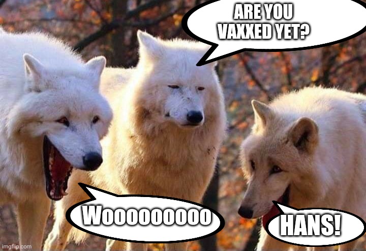 Laughing wolf | ARE YOU VAXXED YET? Wooooooooo; HANS! | image tagged in laughing wolf | made w/ Imgflip meme maker