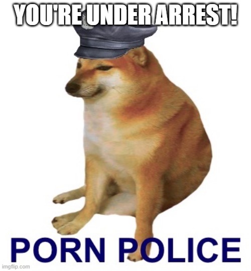 Porn Police official logo | YOU'RE UNDER ARREST! | image tagged in porn police official logo | made w/ Imgflip meme maker