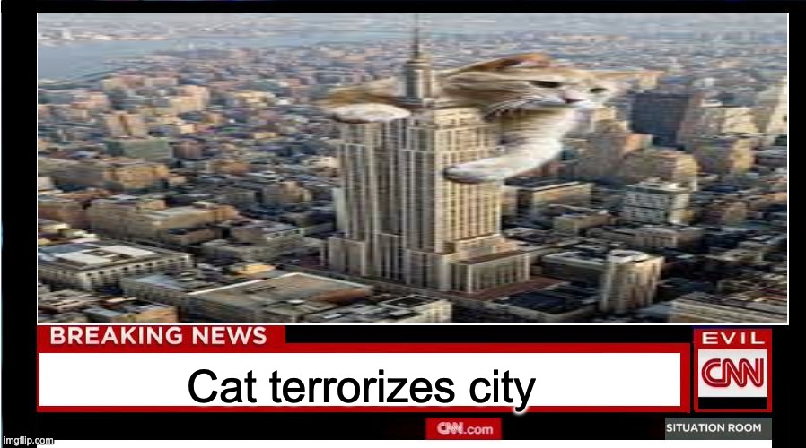 Danger ahead. | Cat terrorizes city | image tagged in danegr,giant cat | made w/ Imgflip meme maker