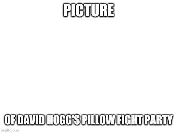 Blank White Template | PICTURE OF DAVID HOGG'S PILLOW FIGHT PARTY | image tagged in blank white template | made w/ Imgflip meme maker