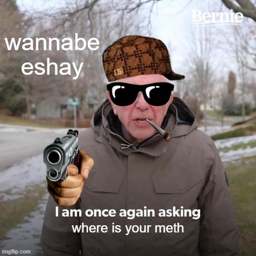 Bernie I Am Once Again Asking For Your Support Meme | wannabe eshay; where is your meth | image tagged in memes,bernie i am once again asking for your support | made w/ Imgflip meme maker