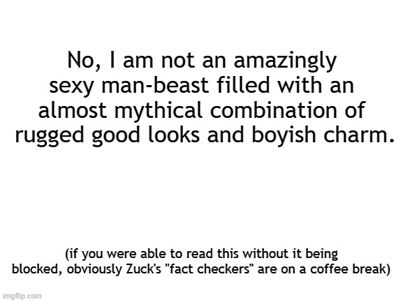 BEHOLD ME!!! | No, I am not an amazingly sexy man-beast filled with an almost mythical combination of  rugged good looks and boyish charm. (if you were able to read this without it being blocked, obviously Zuck's "fact checkers" are on a coffee break) | image tagged in blank white template,humor,fact check,facebook | made w/ Imgflip meme maker