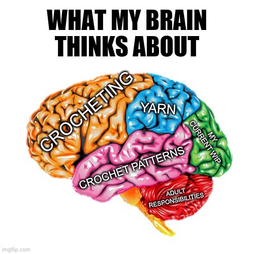 Crocheters brain | CROCHETING; YARN; MY CURRENT WIP; CROCHET PATTERNS; ADULT RESPONSIBILITIES | image tagged in what my brain thinks about | made w/ Imgflip meme maker