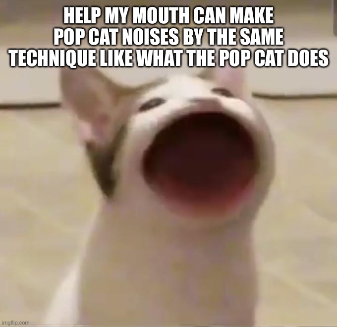 Pop Cat | HELP MY MOUTH CAN MAKE POP CAT NOISES BY THE SAME TECHNIQUE LIKE WHAT THE POP CAT DOES | image tagged in pop cat | made w/ Imgflip meme maker