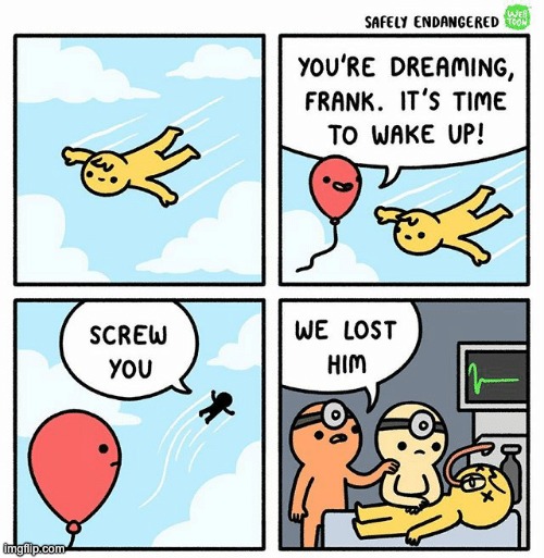 image tagged in comics,funny,balloon,bird | made w/ Imgflip meme maker