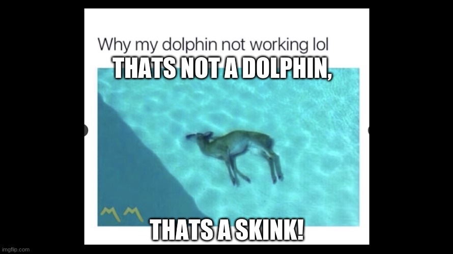why my skink not working | THATS NOT A DOLPHIN, THATS A SKINK! | image tagged in funny memes,deer | made w/ Imgflip meme maker