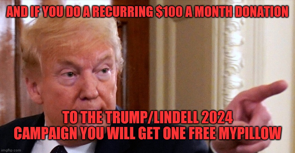 Trump pointing | AND IF YOU DO A RECURRING $100 A MONTH DONATION; TO THE TRUMP/LINDELL 2024 CAMPAIGN YOU WILL GET ONE FREE MYPILLOW | image tagged in trump pointing | made w/ Imgflip meme maker