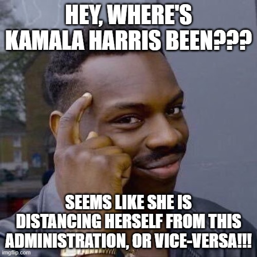 Where's the "VP"???? | HEY, WHERE'S KAMALA HARRIS BEEN??? SEEMS LIKE SHE IS DISTANCING HERSELF FROM THIS ADMINISTRATION, OR VICE-VERSA!!! | image tagged in nwo,leftist terrorists,missing politicians | made w/ Imgflip meme maker