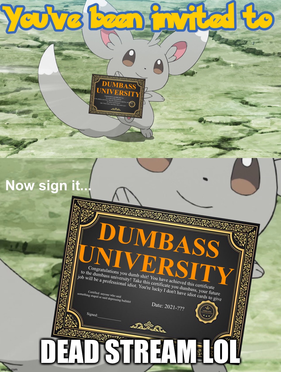 You've been invited to dumbass university | DEAD STREAM LOL | image tagged in you've been invited to dumbass university | made w/ Imgflip meme maker