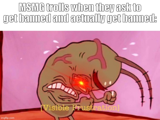 Yes very true ? | MSMG trolls when they ask to get banned and actually get banned: | image tagged in cringin plankton / visible frustation,imgflip mods,memes,memers,troll | made w/ Imgflip meme maker