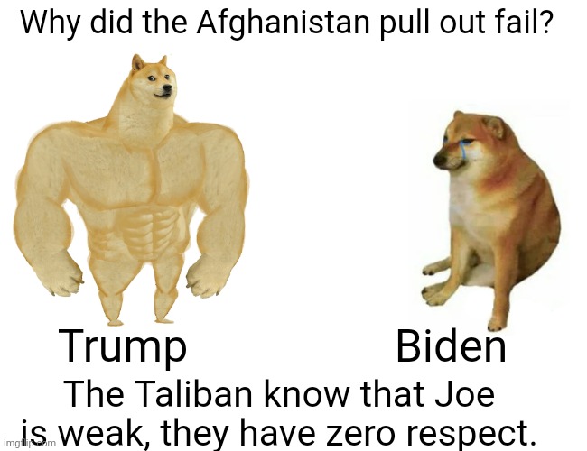 Weakling Biden | Why did the Afghanistan pull out fail? Biden; Trump; The Taliban know that Joe is weak, they have zero respect. | image tagged in memes,buff doge vs cheems | made w/ Imgflip meme maker