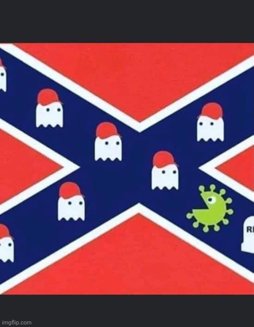 Game over | image tagged in trump supporter,trump,conservative,republican,covidiots,covid | made w/ Imgflip meme maker