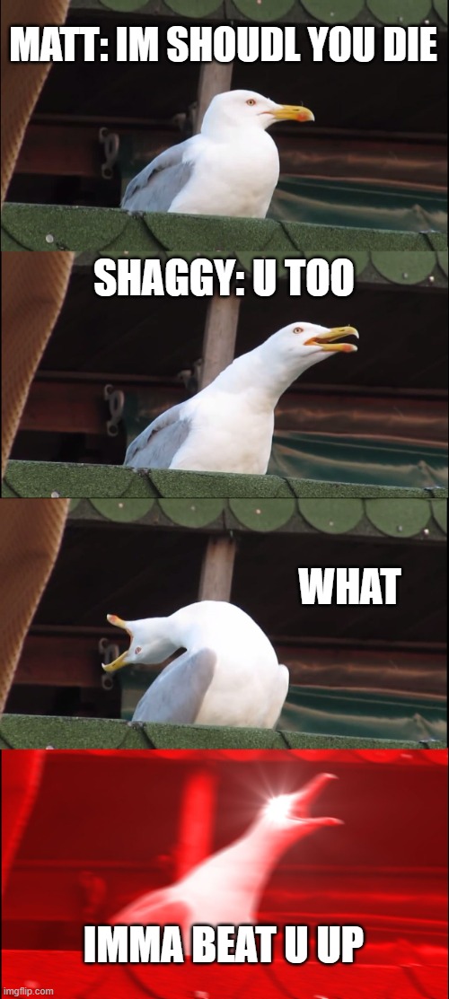 Ah yes, matt hates shaggy |  MATT: IM SHOUDL YOU DIE; SHAGGY: U TOO; WHAT; IMMA BEAT U UP | image tagged in memes,inhaling seagull | made w/ Imgflip meme maker