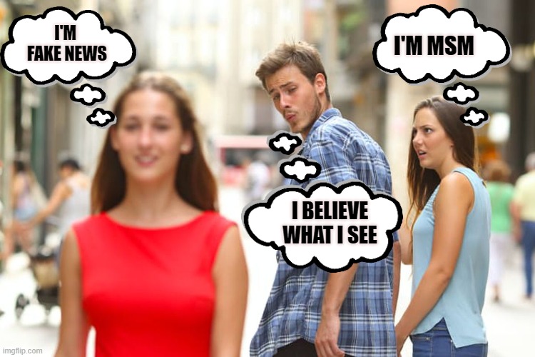 Do you believe what you see? | I'M 
FAKE NEWS; I'M MSM; I BELIEVE WHAT I SEE | image tagged in memes,distracted boyfriend,fake news,msm | made w/ Imgflip meme maker