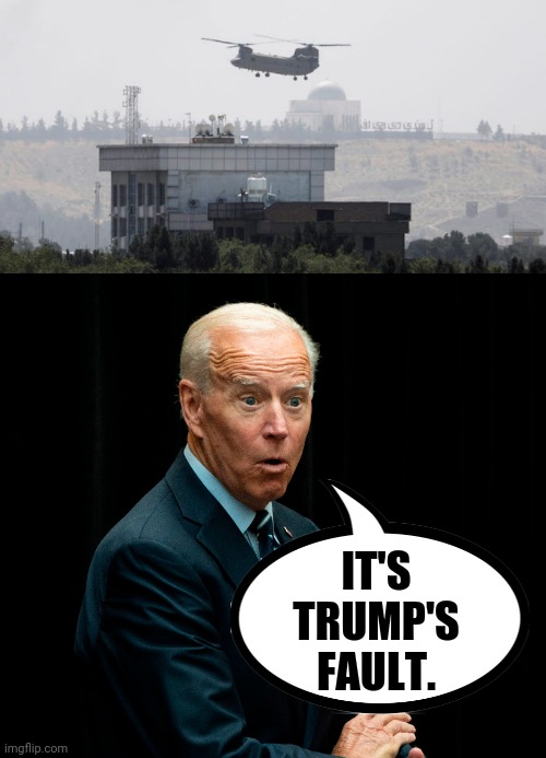 Of course they blame Trump for everything. | IT'S TRUMP'S FAULT. | image tagged in memes | made w/ Imgflip meme maker