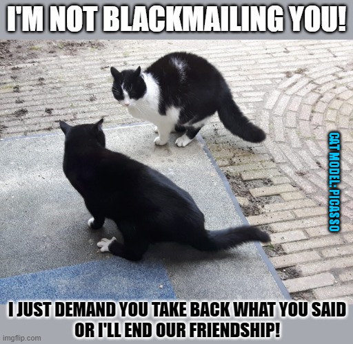 Are you being blackmailed? | I'M NOT BLACKMAILING YOU! CAT MODEL: PICASSO; I JUST DEMAND YOU TAKE BACK WHAT YOU SAID
OR I'LL END OUR FRIENDSHIP! | image tagged in lolcat,meme,blackmail | made w/ Imgflip meme maker