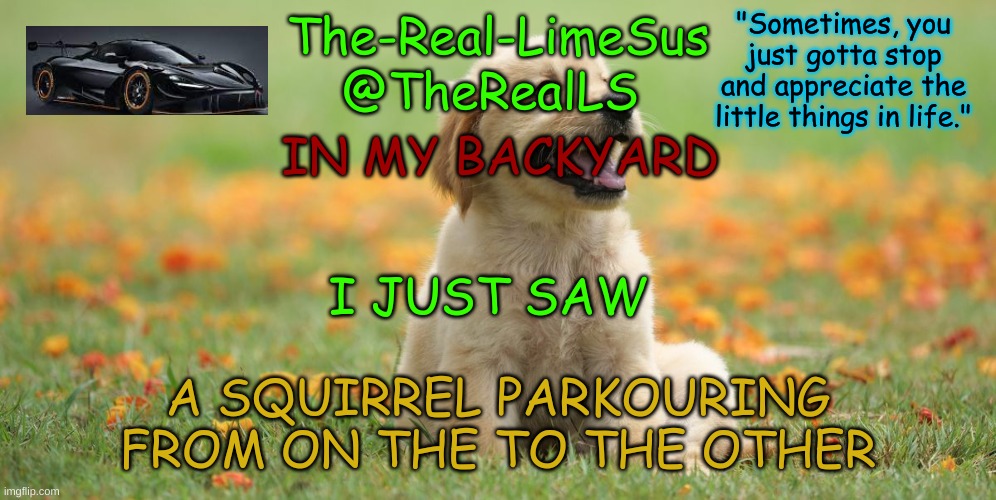 the branches are really tall and unstable to if you managed to get up 25 something feet (i think) you could snap the branch off | IN MY BACKYARD; I JUST SAW; A SQUIRREL PARKOURING FROM ON THE TO THE OTHER | image tagged in limesus doggo announcement temp v1 4 | made w/ Imgflip meme maker