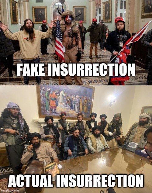 Democrats had a hand in both. | FAKE INSURRECTION; ACTUAL INSURRECTION | image tagged in memes | made w/ Imgflip meme maker
