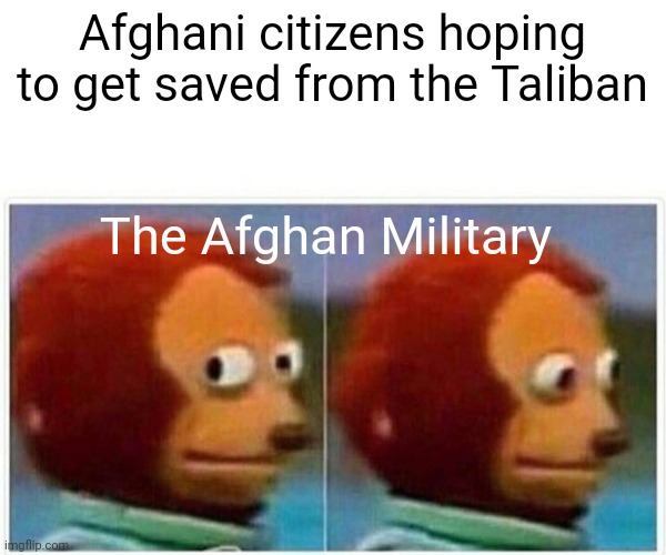 The Afghan Military | Afghani citizens hoping to get saved from the Taliban; The Afghan Military | image tagged in monkey puppet,afghanistan,taliban,military | made w/ Imgflip meme maker