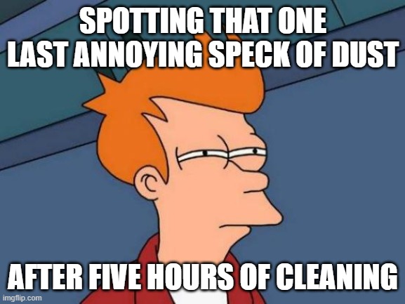 Futurama Fry | SPOTTING THAT ONE LAST ANNOYING SPECK OF DUST; AFTER FIVE HOURS OF CLEANING | image tagged in memes,futurama fry | made w/ Imgflip meme maker