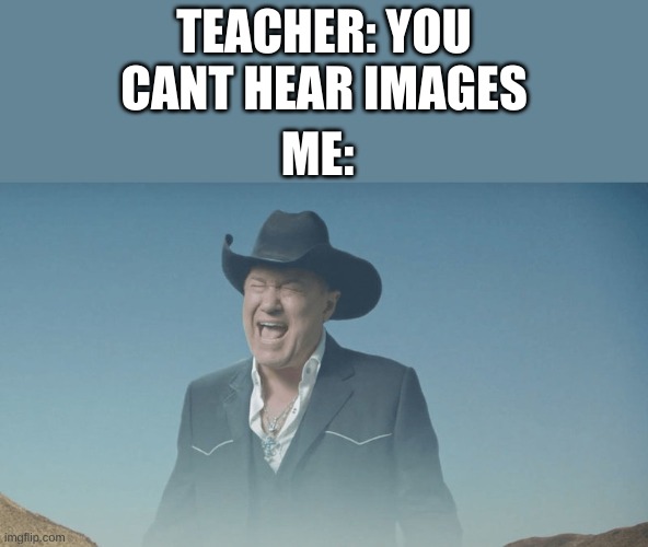 imagine the sound you can hear it can you not? | TEACHER: YOU CANT HEAR IMAGES; ME: | image tagged in big enough,screaming,cowboys,cowboy,big,enough | made w/ Imgflip meme maker