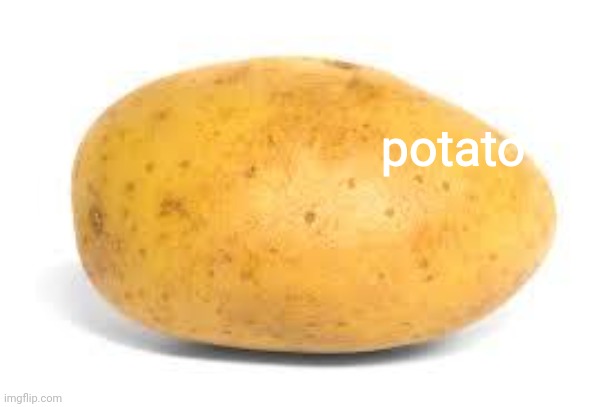 Potato | potato | image tagged in potato | made w/ Imgflip meme maker