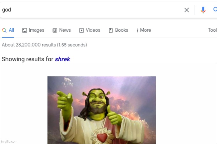 god did u mean shrek | image tagged in shrek,funny,fun,google search | made w/ Imgflip meme maker