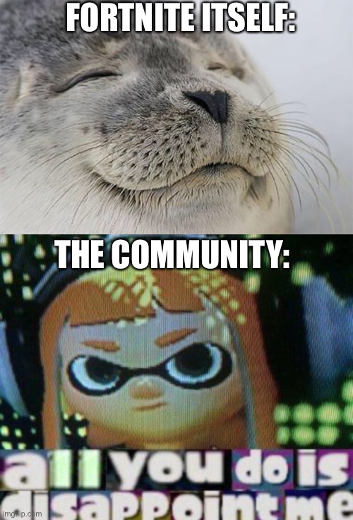 FORTNITE ITSELF: THE COMMUNITY: | image tagged in memes,satisfied seal,all you do is disappoint me | made w/ Imgflip meme maker