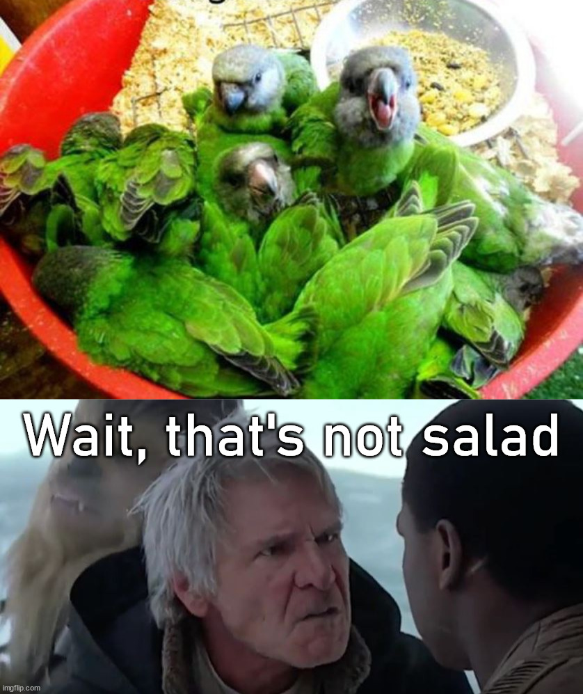 Wait, that's not salad | image tagged in that's not how the force works | made w/ Imgflip meme maker