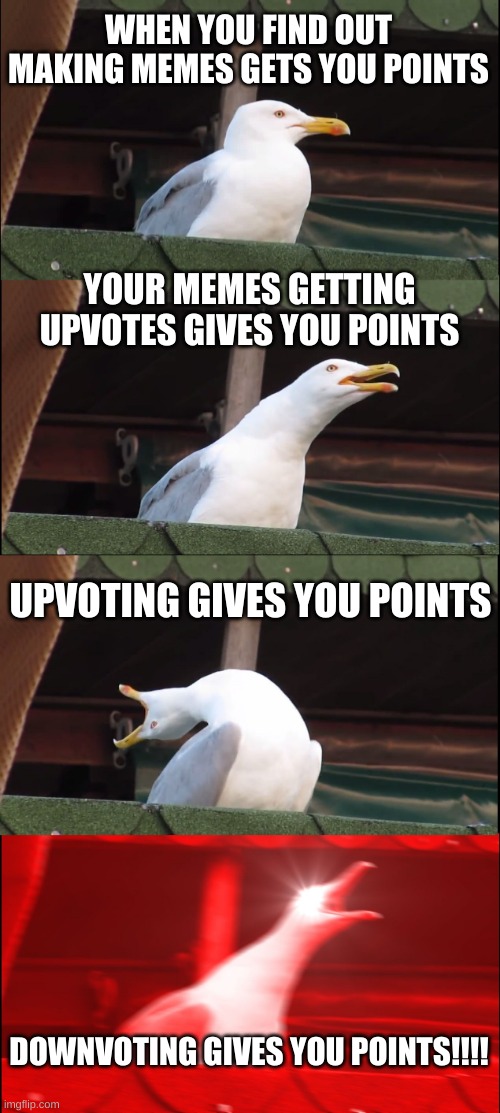 SMURT | WHEN YOU FIND OUT MAKING MEMES GETS YOU POINTS; YOUR MEMES GETTING UPVOTES GIVES YOU POINTS; UPVOTING GIVES YOU POINTS; DOWNVOTING GIVES YOU POINTS!!!! | image tagged in memes,inhaling seagull,smart,hahaha,i am 4 parallel universes ahead of you | made w/ Imgflip meme maker