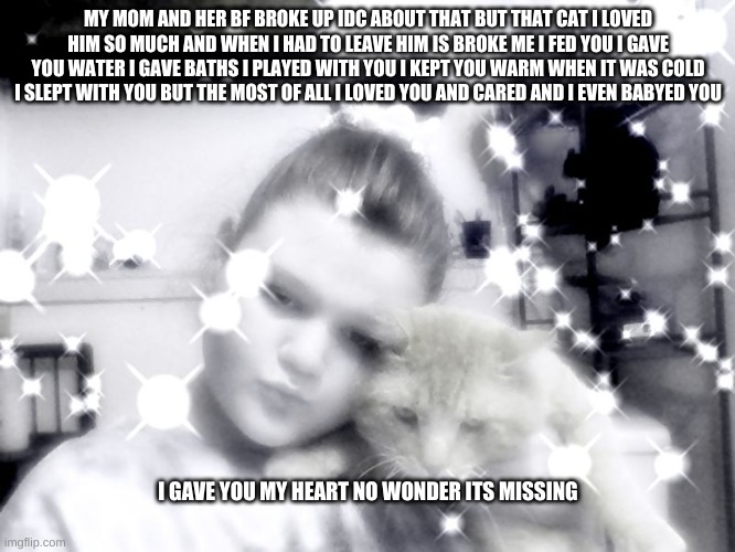 MY MOM AND HER BF BROKE UP IDC ABOUT THAT BUT THAT CAT I LOVED HIM SO MUCH AND WHEN I HAD TO LEAVE HIM IS BROKE ME I FED YOU I GAVE YOU WATER I GAVE BATHS I PLAYED WITH YOU I KEPT YOU WARM WHEN IT WAS COLD I SLEPT WITH YOU BUT THE MOST OF ALL I LOVED YOU AND CARED AND I EVEN BABYED YOU; I GAVE YOU MY HEART NO WONDER ITS MISSING | image tagged in sad,depression,losing your best friend | made w/ Imgflip meme maker