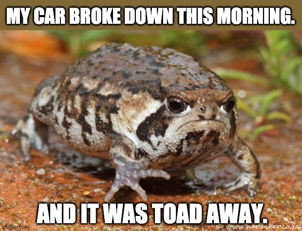 toad | MY CAR BROKE DOWN THIS MORNING. AND IT WAS TOAD AWAY. | image tagged in memes,grumpy toad | made w/ Imgflip meme maker