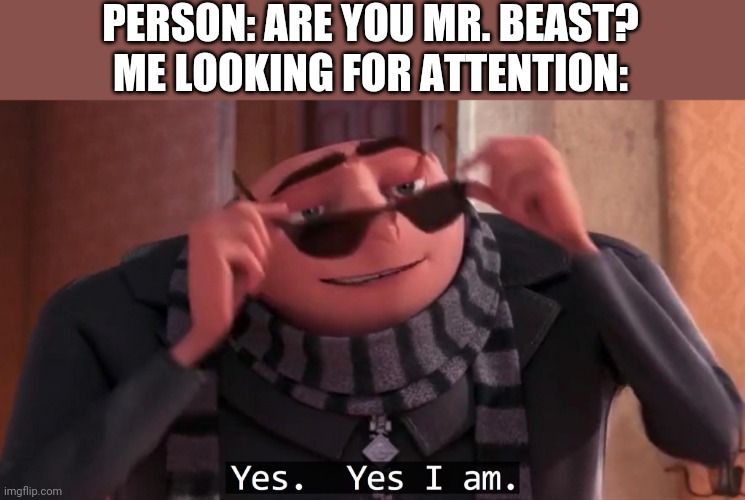 Gru yes, yes i am. | PERSON: ARE YOU MR. BEAST?
ME LOOKING FOR ATTENTION: | image tagged in gru yes yes i am | made w/ Imgflip meme maker