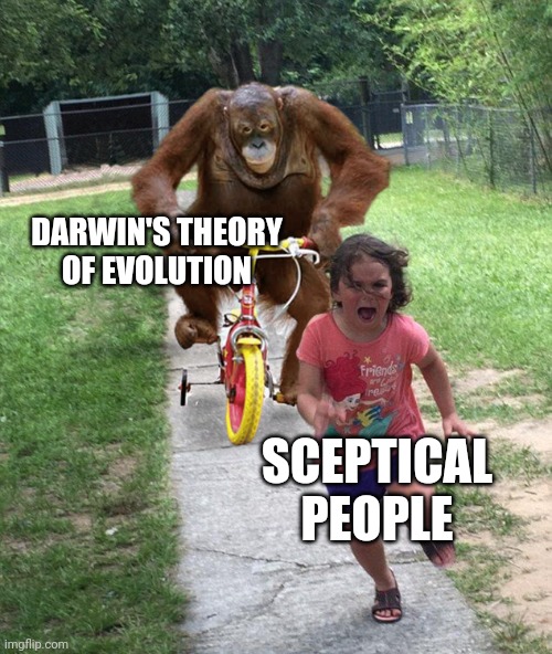 Theory Of Evolution |  DARWIN'S THEORY OF EVOLUTION; SCEPTICAL PEOPLE | image tagged in orangutan chasing girl on a tricycle | made w/ Imgflip meme maker