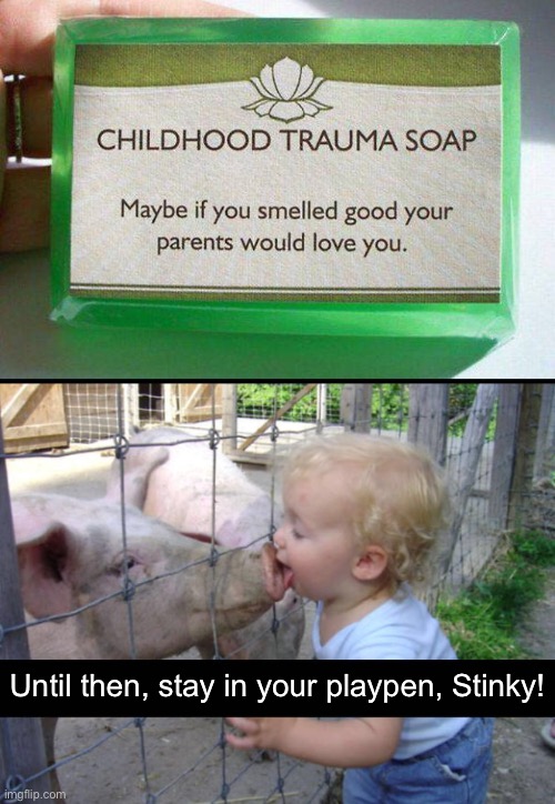 Pew! | Until then, stay in your playpen, Stinky! | image tagged in funny memes,dark humor | made w/ Imgflip meme maker