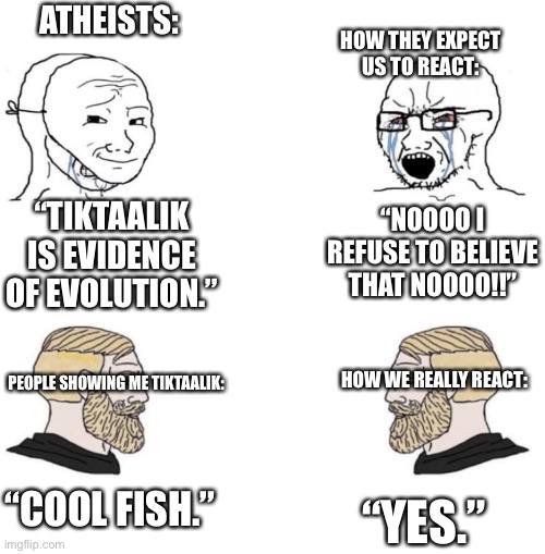 Tiktaalik is a cool fish though, that’s coming from a Young Earther. | ATHEISTS:; HOW THEY EXPECT US TO REACT:; “TIKTAALIK IS EVIDENCE OF EVOLUTION.”; “NOOOO I REFUSE TO BELIEVE THAT NOOOO!!”; HOW WE REALLY REACT:; PEOPLE SHOWING ME TIKTAALIK:; “COOL FISH.”; “YES.” | image tagged in chad we know | made w/ Imgflip meme maker