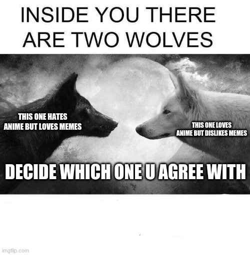 Anime vs Memes | THIS ONE HATES ANIME BUT LOVES MEMES; THIS ONE LOVES ANIME BUT DISLIKES MEMES; DECIDE WHICH ONE U AGREE WITH | image tagged in inside you there are two wolves | made w/ Imgflip meme maker