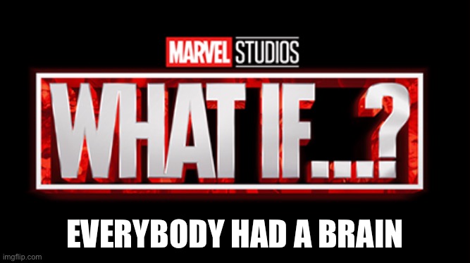 Talking to you Karen’s |  EVERYBODY HAD A BRAIN | image tagged in what if,marvel,karen | made w/ Imgflip meme maker