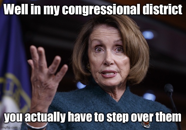 Good old Nancy Pelosi | Well in my congressional district you actually have to step over them | image tagged in good old nancy pelosi | made w/ Imgflip meme maker